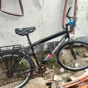 I will sell a bicycle