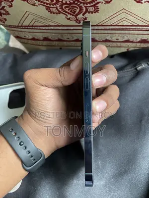 অ্যাপল আইফোন ১২ প্রো ম্যাক্স ৫১২ জিবি ব্লু