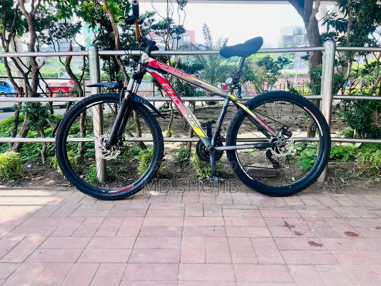 Phonex Cycle