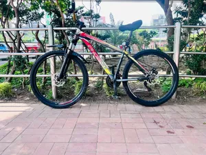 Phonex Cycle