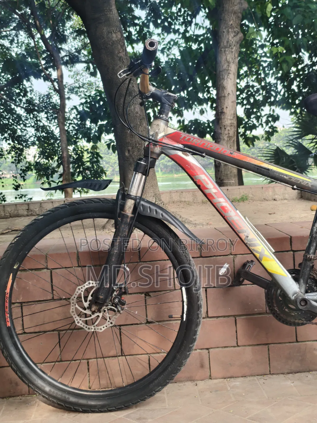 Phonex Cycle