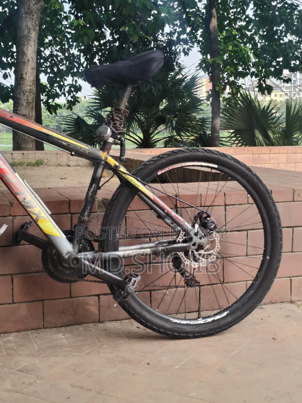 Phonex Cycle