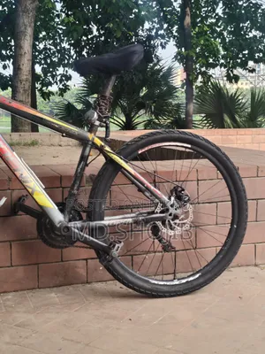 Phonex Cycle