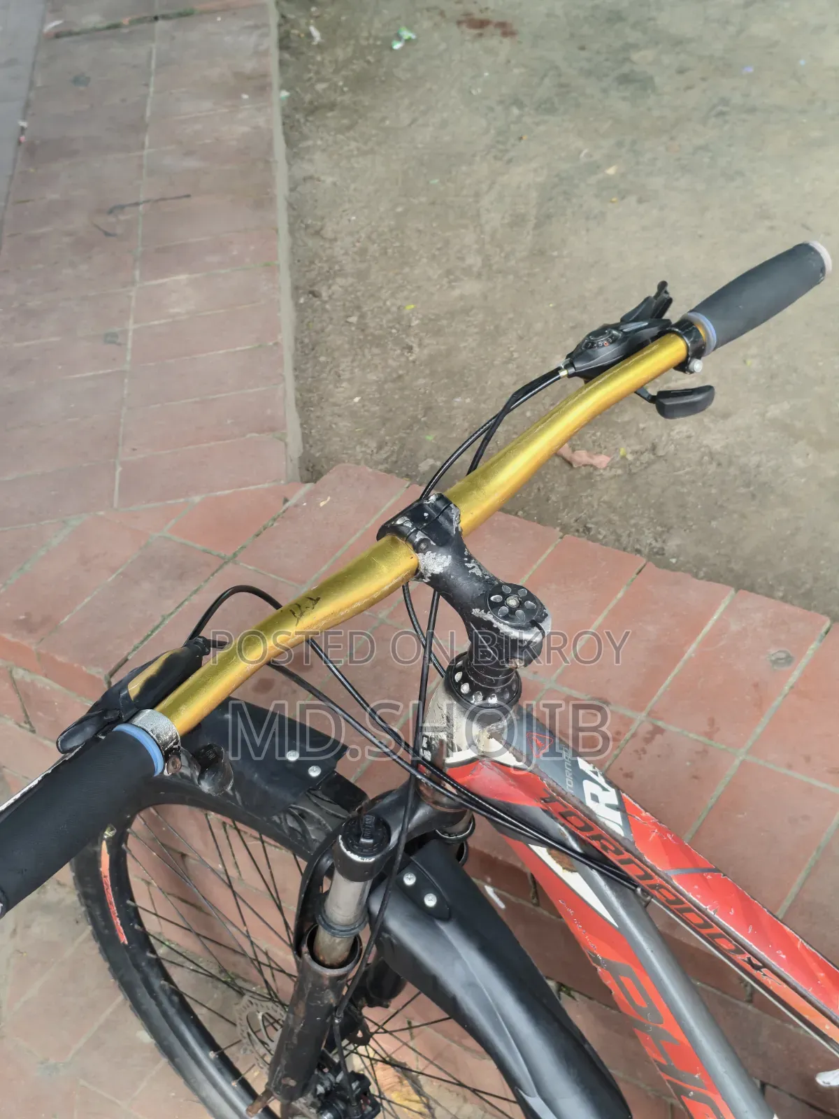 Phonex Cycle