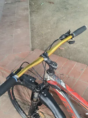 Phonex Cycle