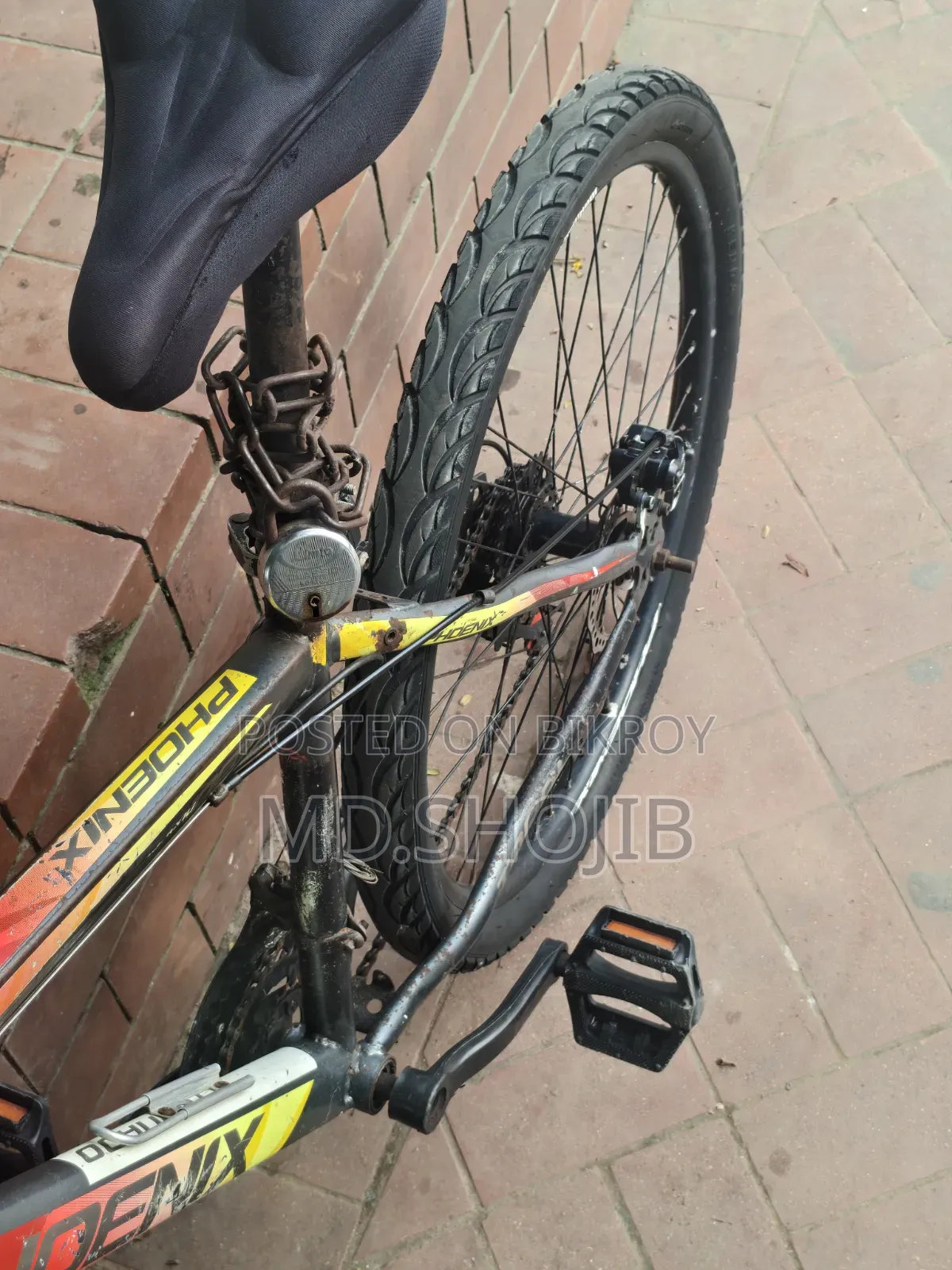 Phonex Cycle