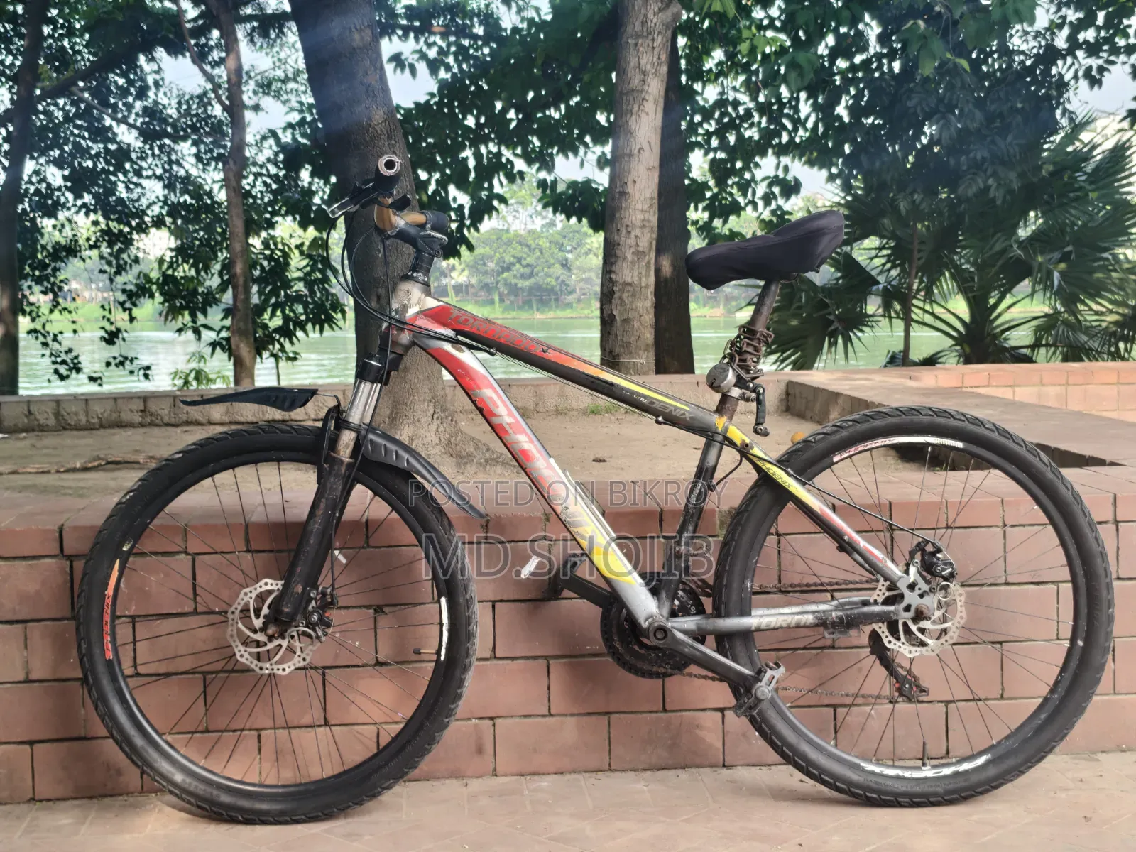Phonex Cycle
