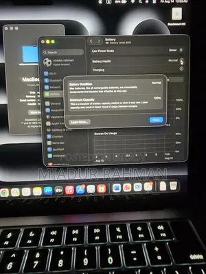 Laptop Apple MacBook 16GB Apple M4 HDD+SSD 256GB