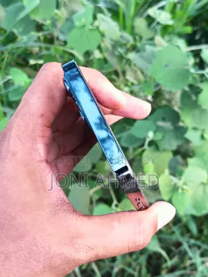 অ্যাপল আইফোন ১২ প্রো ম্যাক্স ১২৮ জিবি ব্লু
