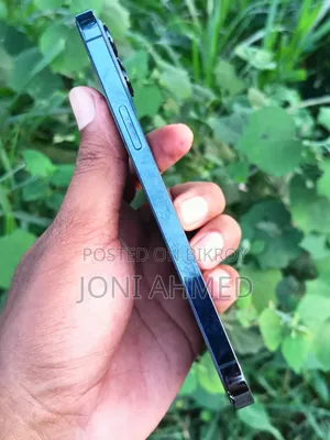 অ্যাপল আইফোন ১২ প্রো ম্যাক্স ১২৮ জিবি ব্লু
