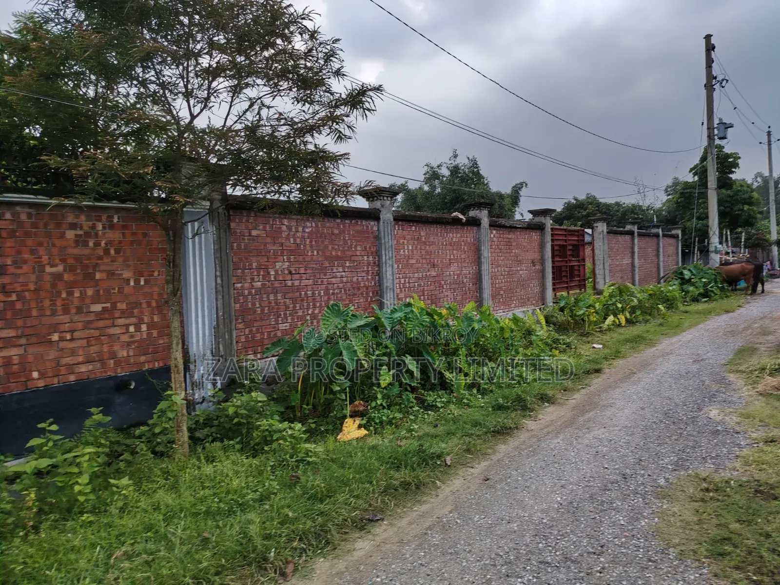 ৩ কাঠা প্লট বিক্রয় ১৩ নং সেক্টরে