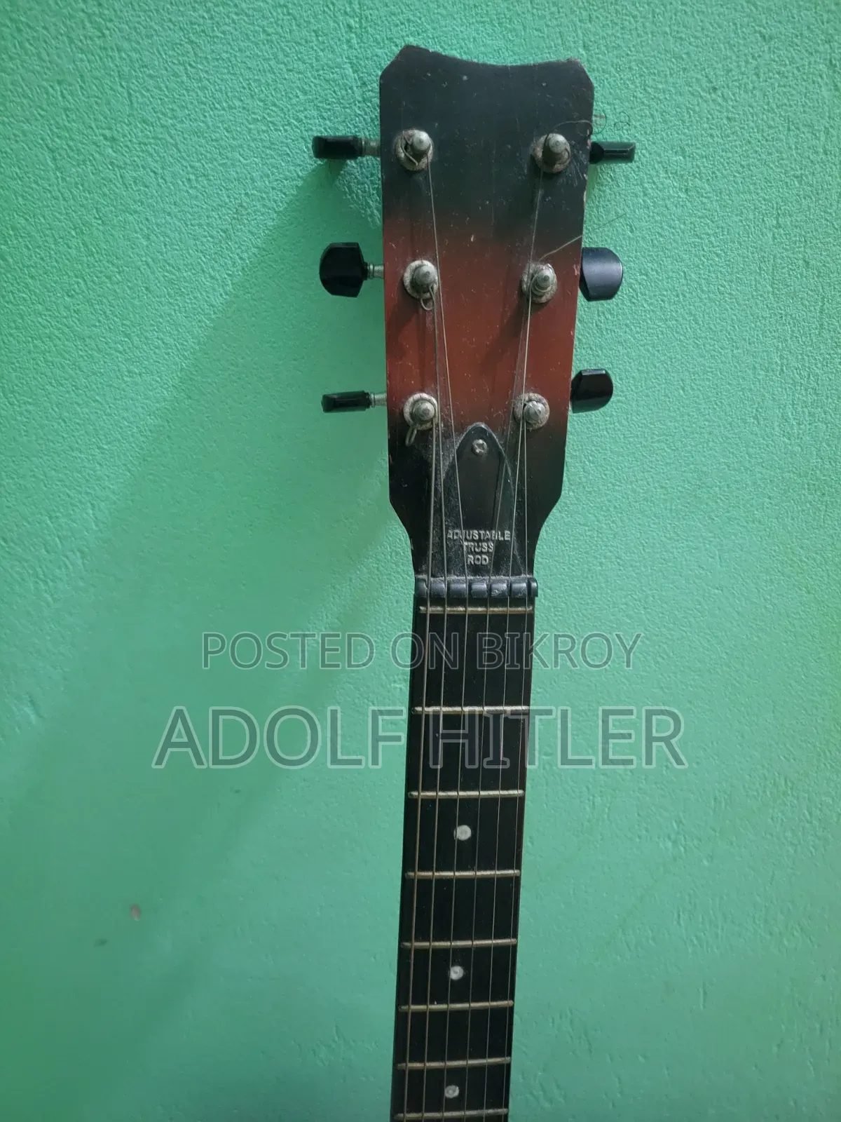 Givson Venus Special Acoustic / Semi-Acoustic Guitar