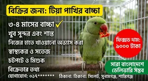 Parrot
