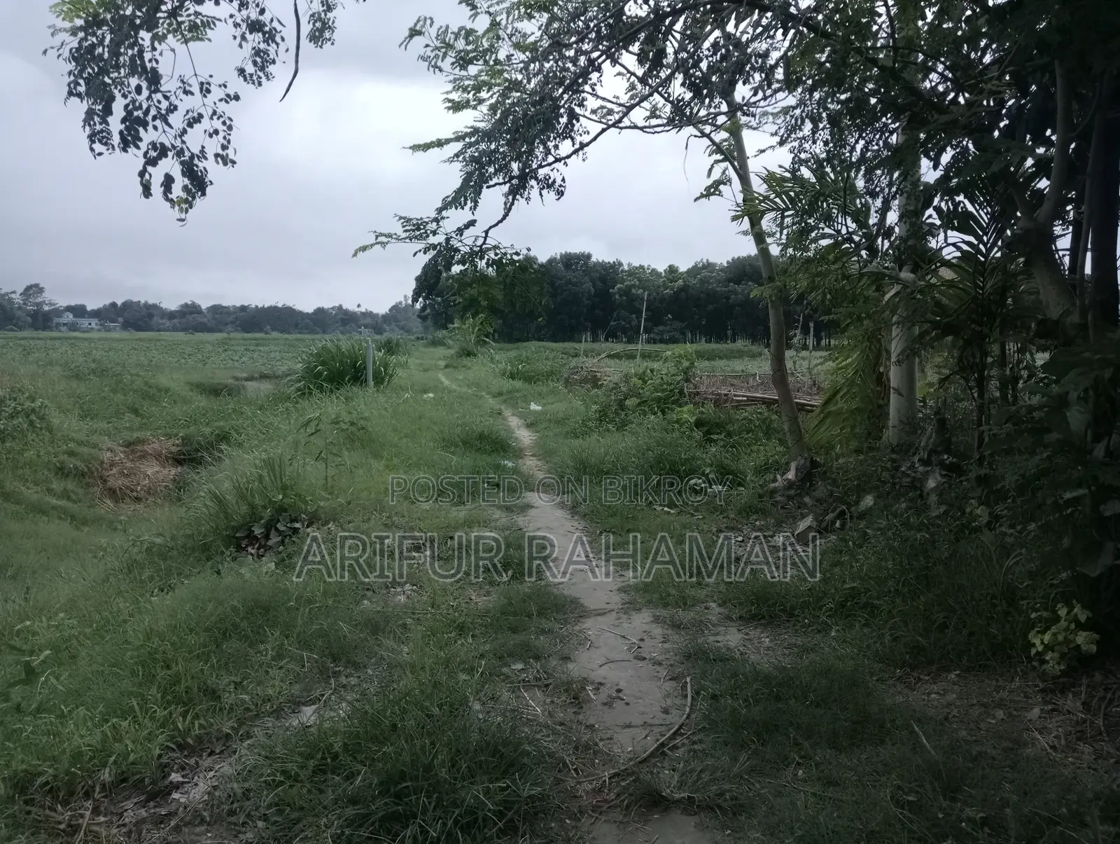 সূলভ মূল্যে কিনুন রাস্তার সাথে জমি