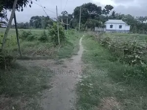 সূলভ মূল্যে কিনুন রাস্তার সাথে জমি