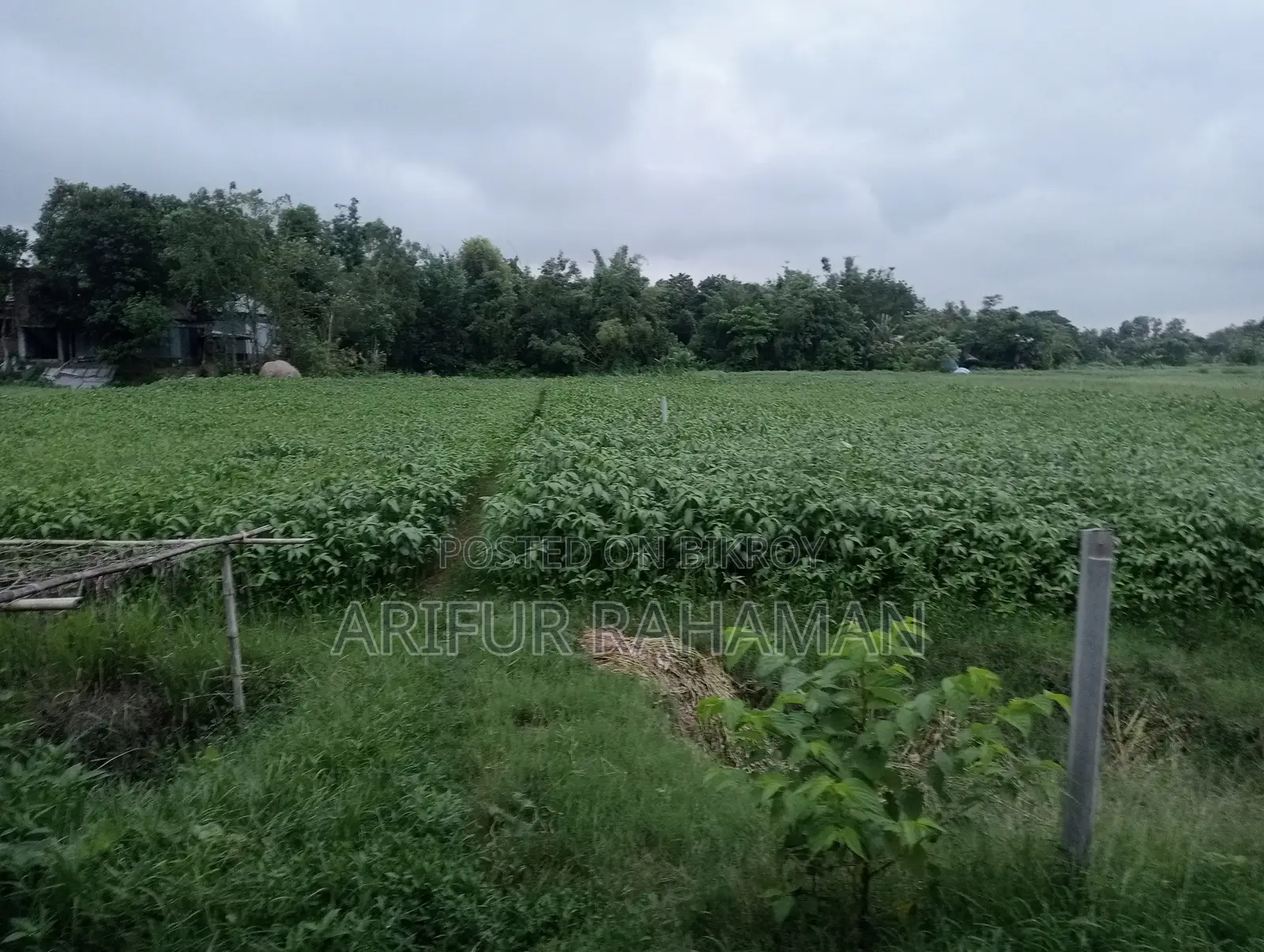 সূলভ মূল্যে কিনুন রাস্তার সাথে জমি