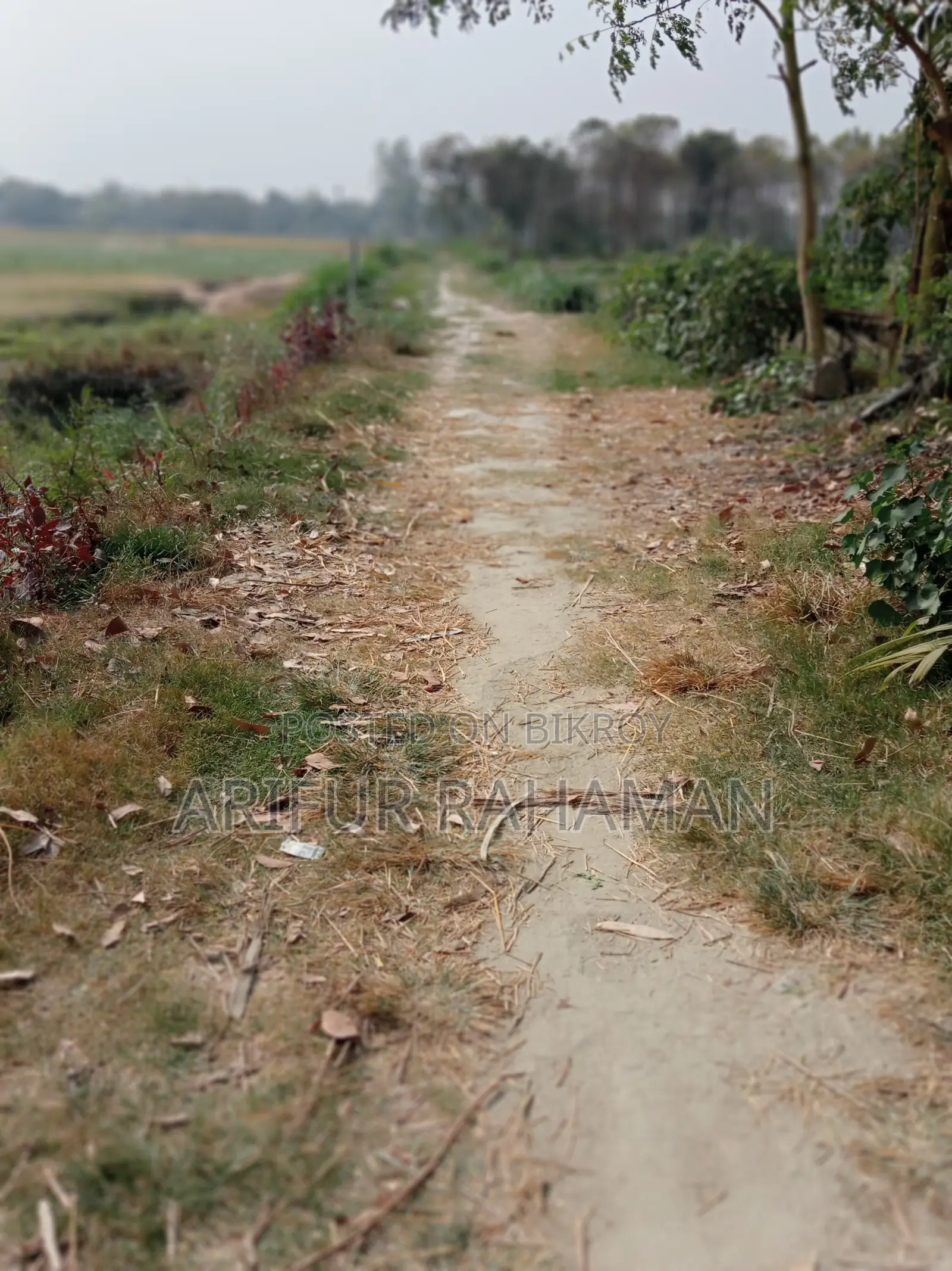 সূলভ মূল্যে কিনুন রাস্তার সাথে জমি