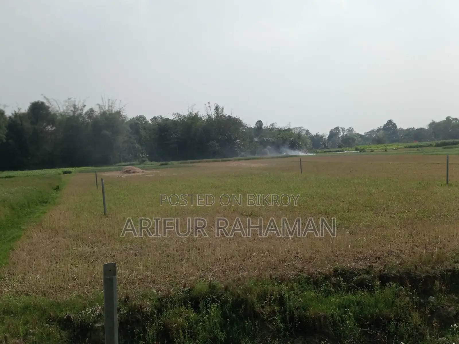 সূলভ মূল্যে কিনুন রাস্তার সাথে জমি