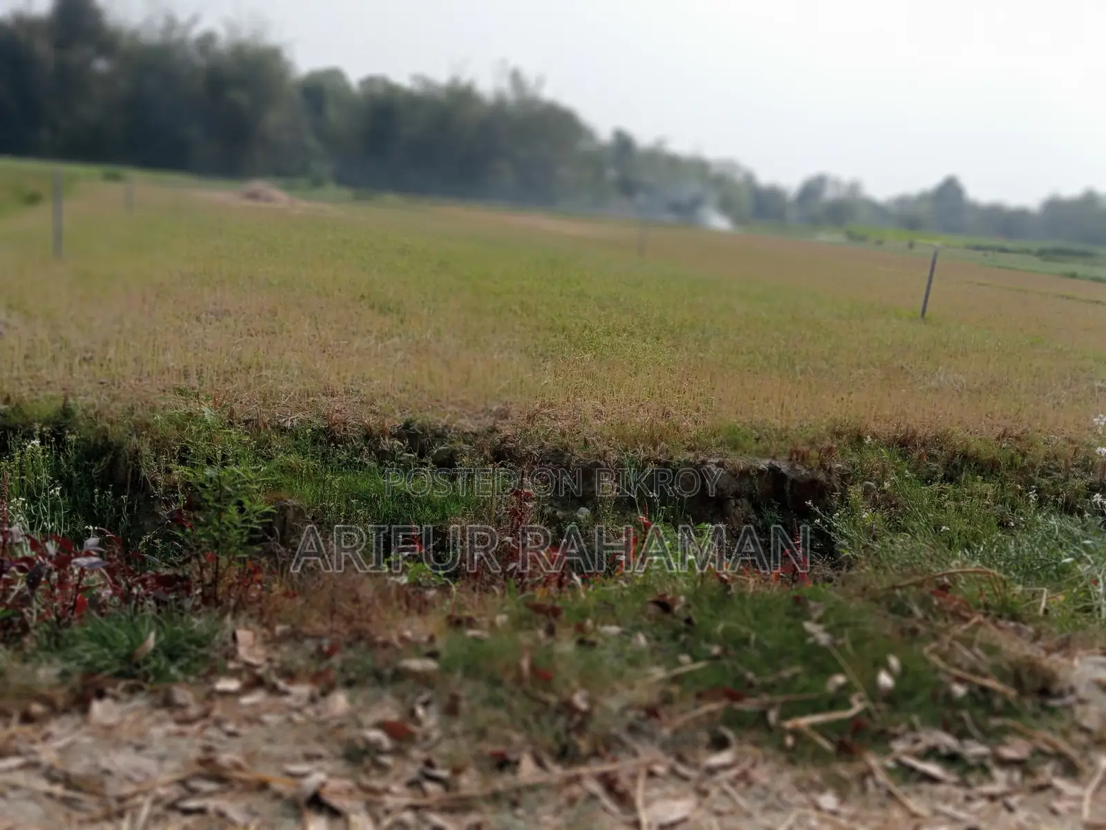 সূলভ মূল্যে কিনুন রাস্তার সাথে জমি