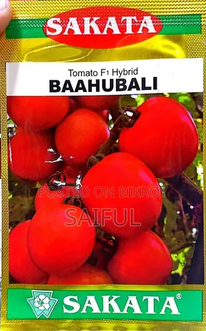 Hybrid Tomato Seeds