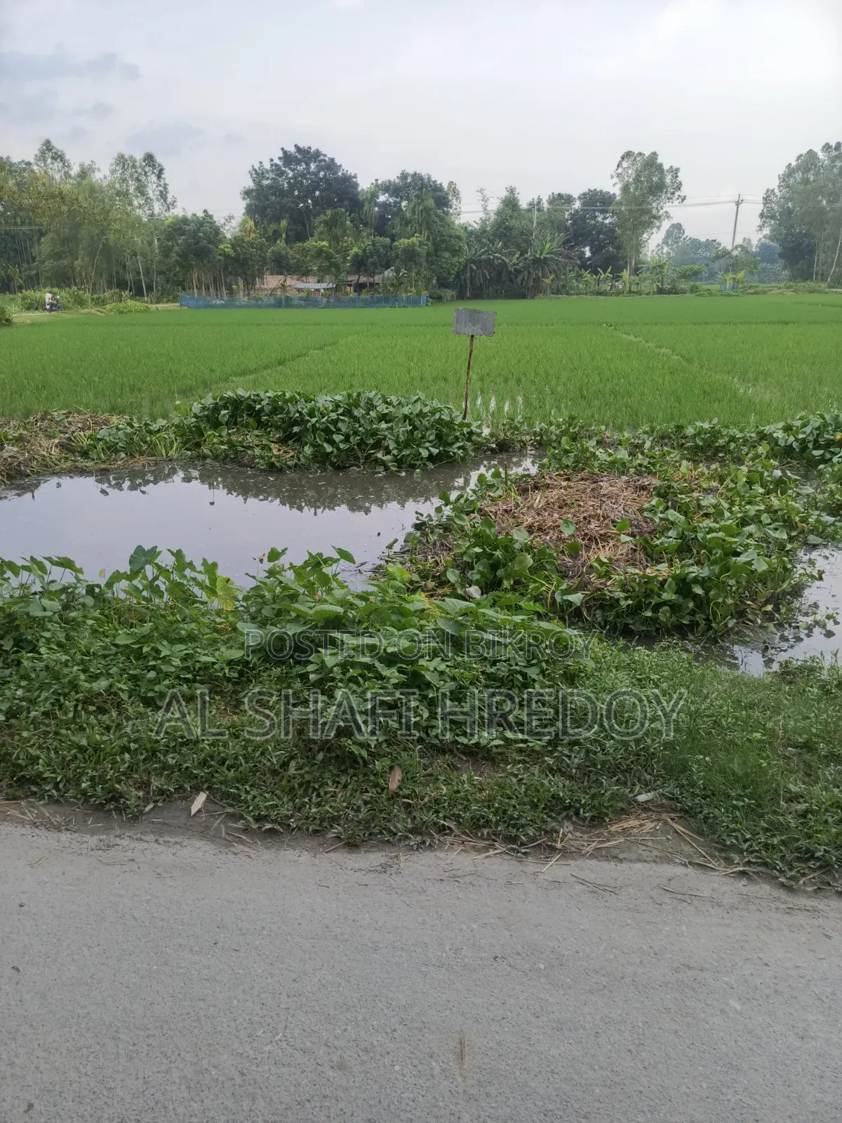 কার্পেটিং রোড সংলগ্ন ১২ শতক জমি