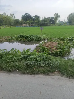 কার্পেটিং রোড সংলগ্ন ১২ শতক জমি