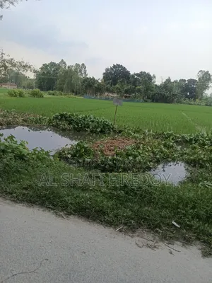 কার্পেটিং রোড সংলগ্ন ১২ শতক জমি