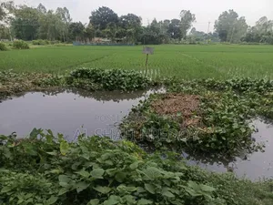 কার্পেটিং রোড সংলগ্ন ১২ শতক জমি