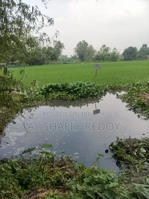কার্পেটিং রোড সংলগ্ন ১২ শতক জমি