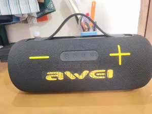 AWEI KA 10 60W Outdoor Speaker + Free Mic