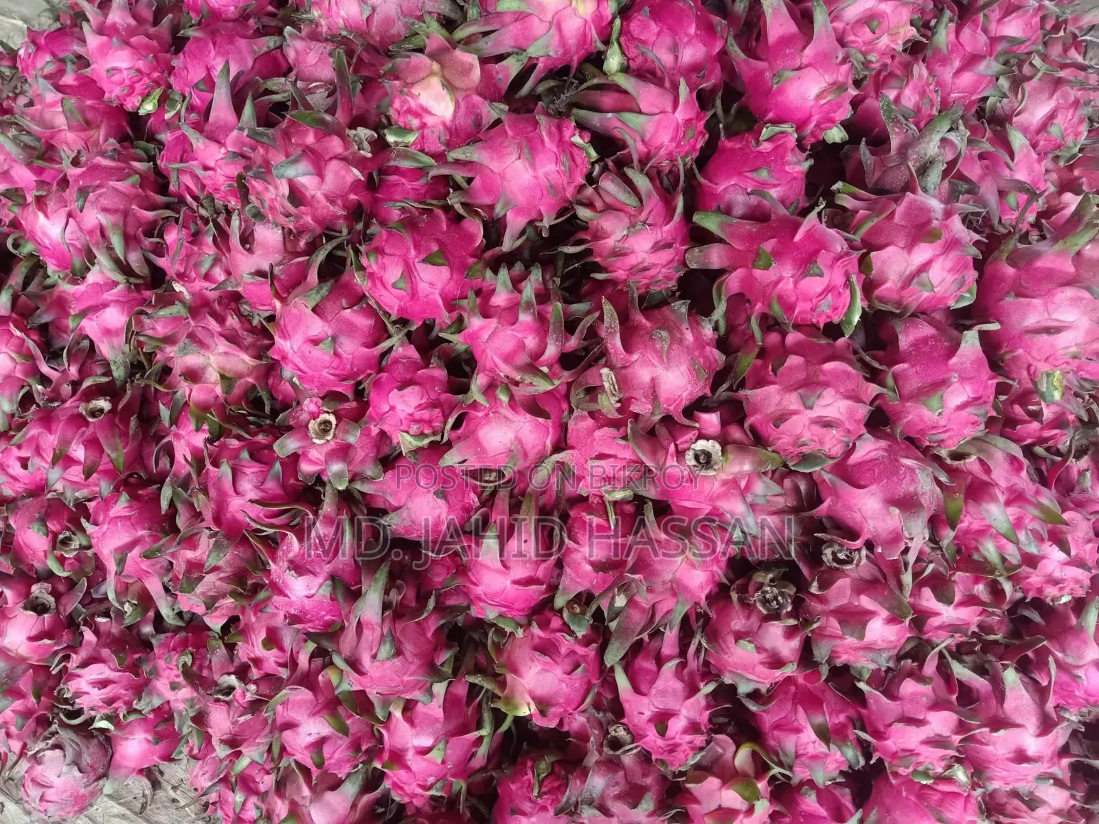 Dragon Fruits
