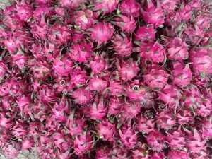 Dragon Fruits