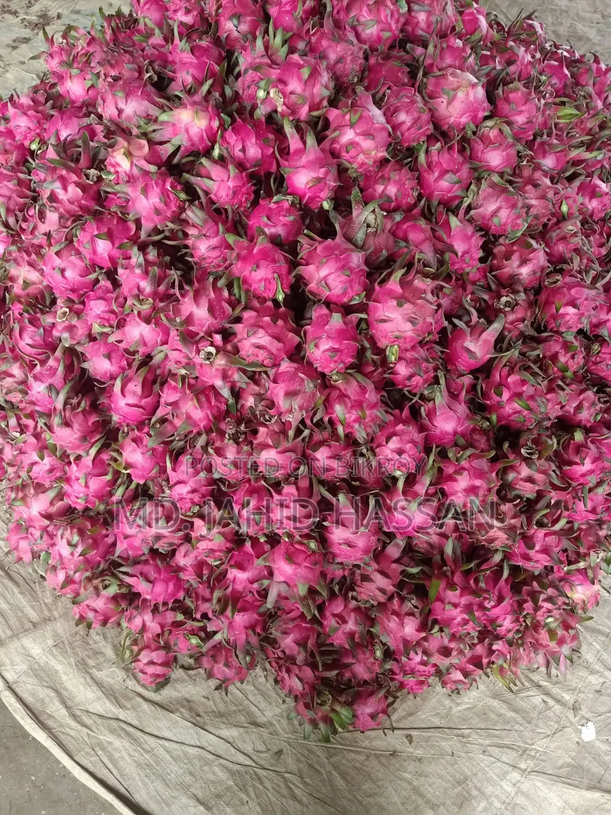 Dragon Fruits
