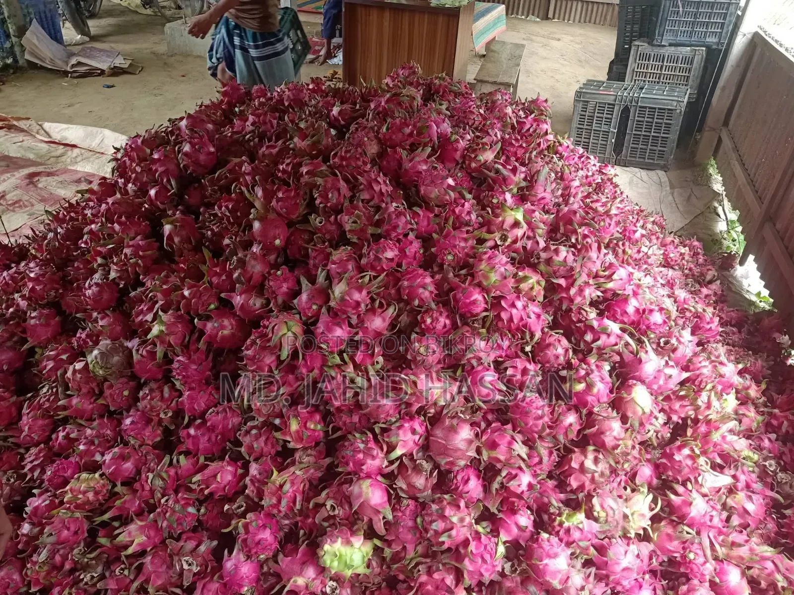Dragon Fruits