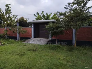 3+3 = 6 katha plot for sale in sector no. 28.