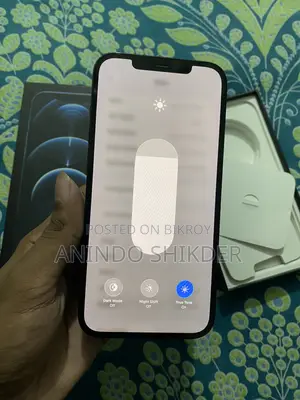 Apple iPhone 12 Pro Max 256 GB Blue