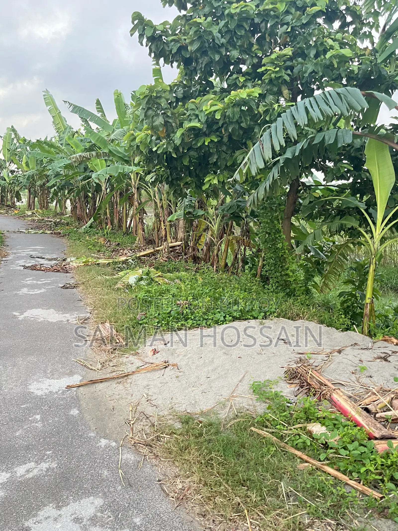 ঢাকার পাশেই নবাবগঞ্জে জমি
