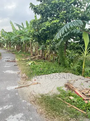 ঢাকার পাশেই নবাবগঞ্জে জমি