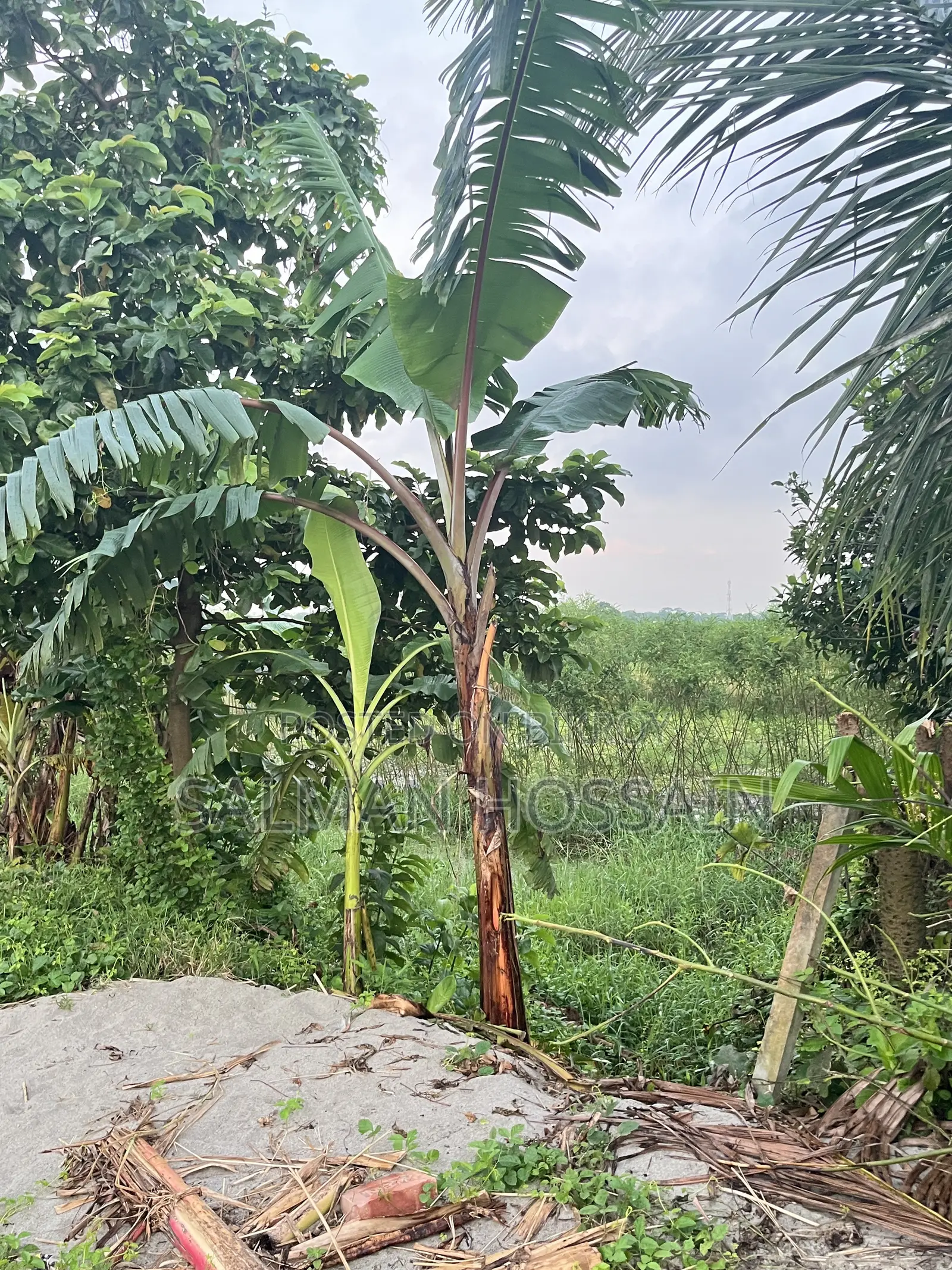 ঢাকার পাশেই নবাবগঞ্জে জমি