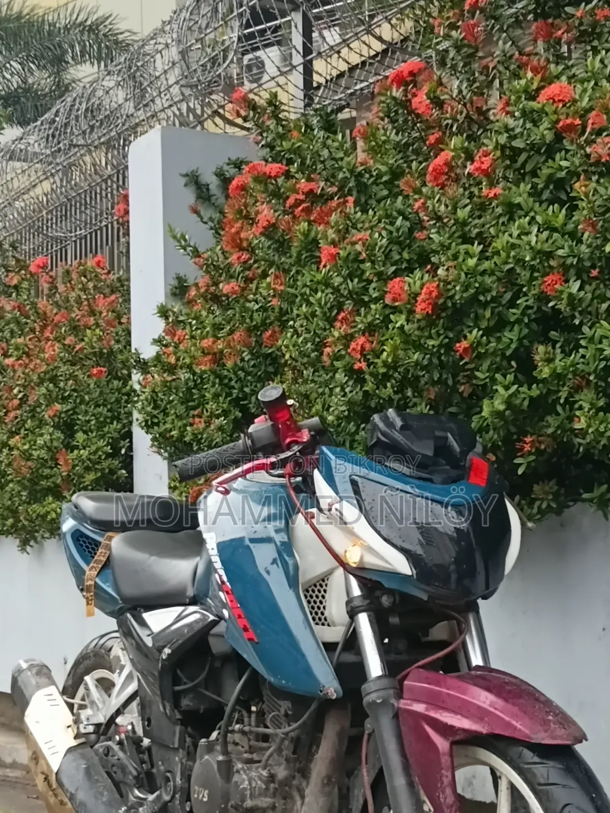 TVS Apache 160 4V 2019 Red