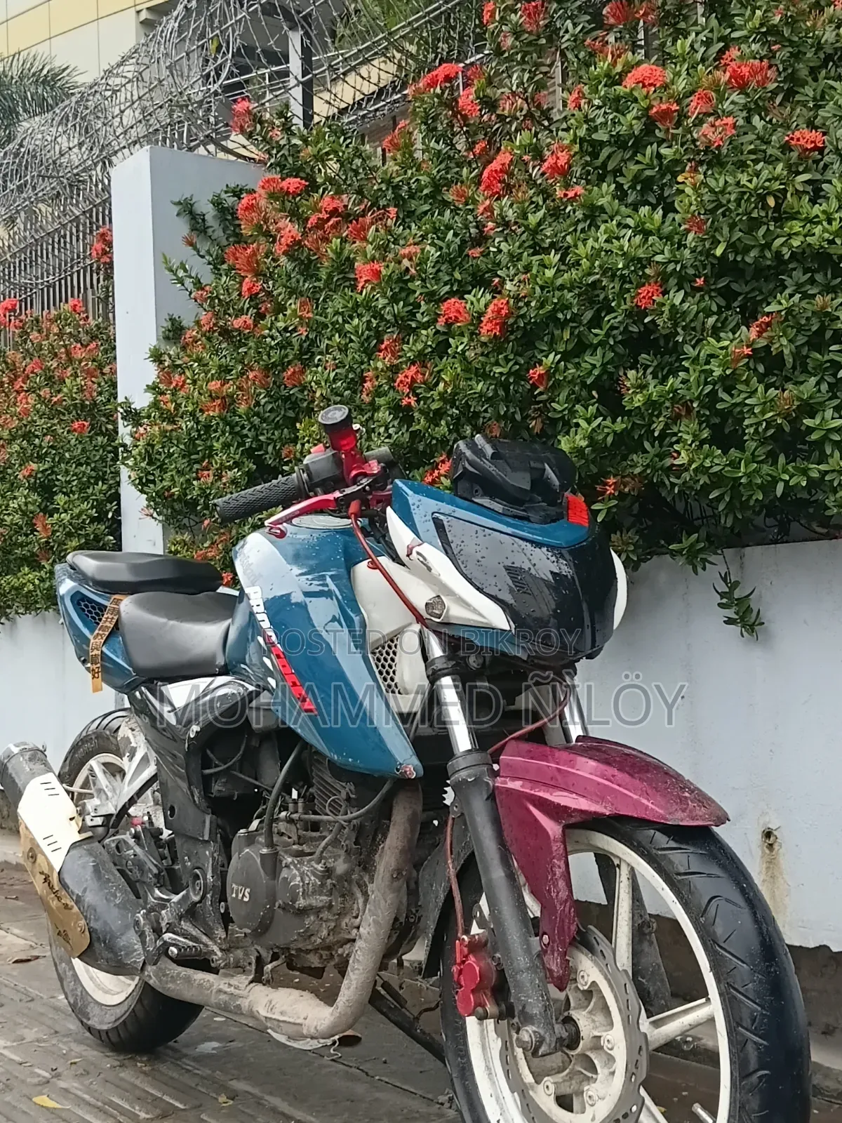 TVS Apache 160 4V 2019 Red