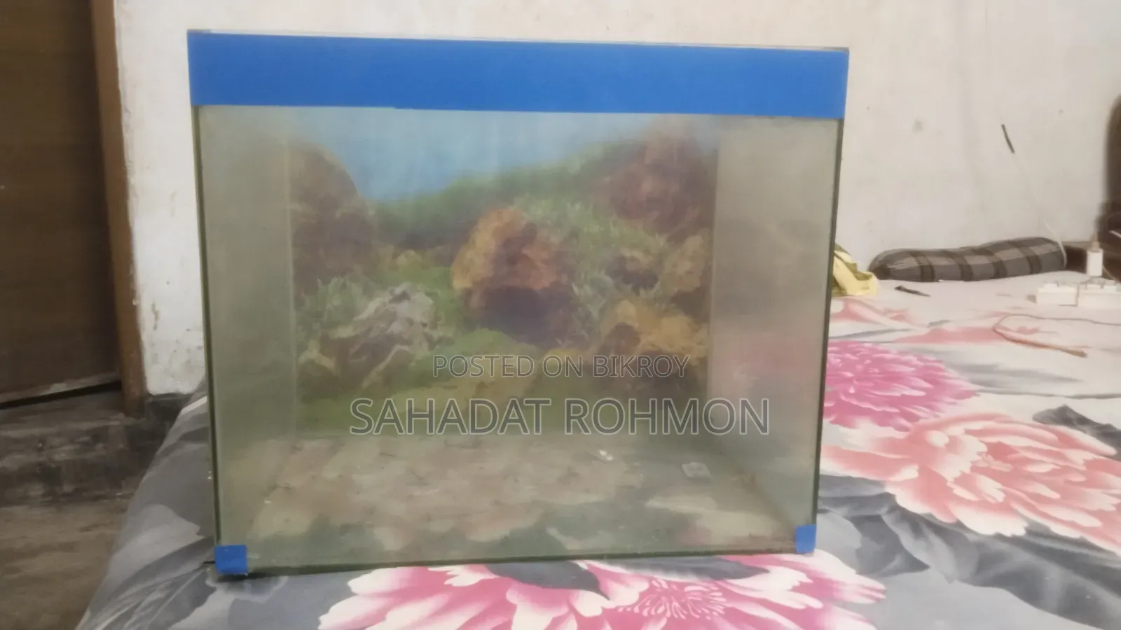 Fishing Tank
