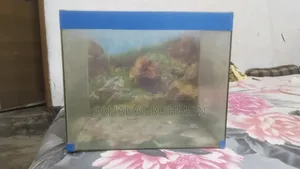 Fishing Tank