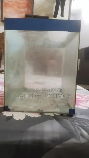 Fishing Tank