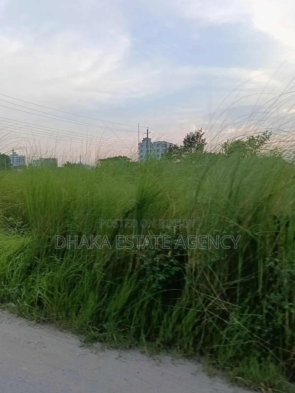 ৭.৫০ কাঠা দক্ষিণমুখী ব্লক-এম