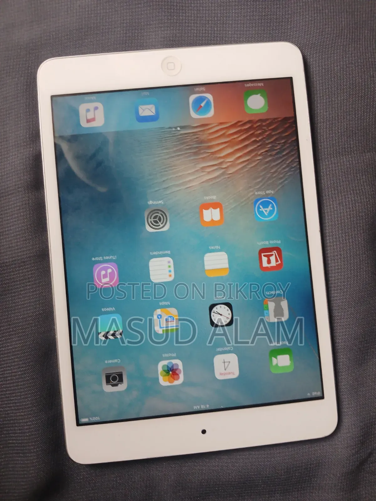 Apple iPad mini 1 16 GB Silver