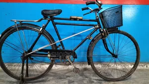 Phoenix Bicycle