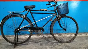 Phoenix Bicycle