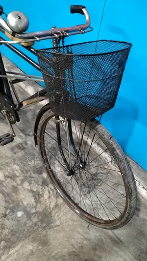 Phoenix Bicycle