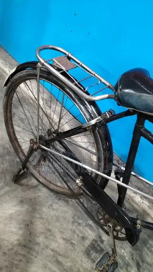 Phoenix Bicycle
